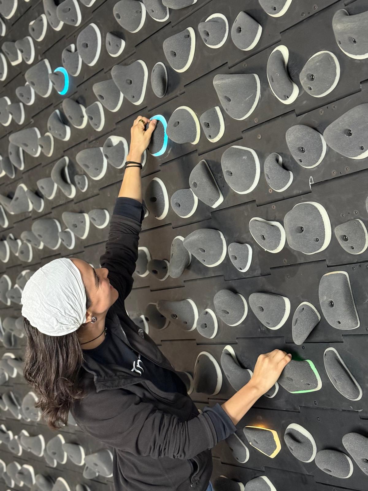 Omni Board gallery photo